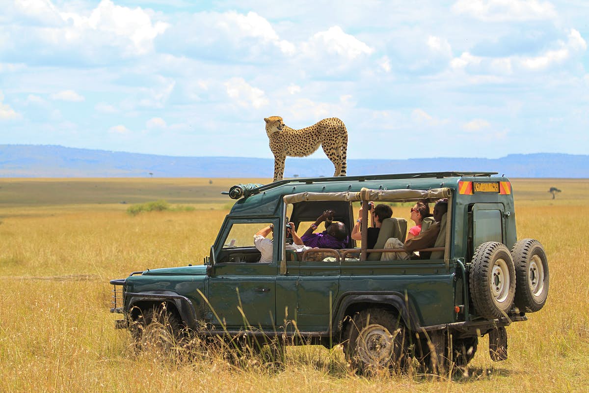 Arusha National Park: Private Jeep Tour